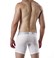 Preview: Intymen 5162 Sports Trunk white