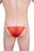 Preview: PetitQ1-1 Kini sheer red Gr.S