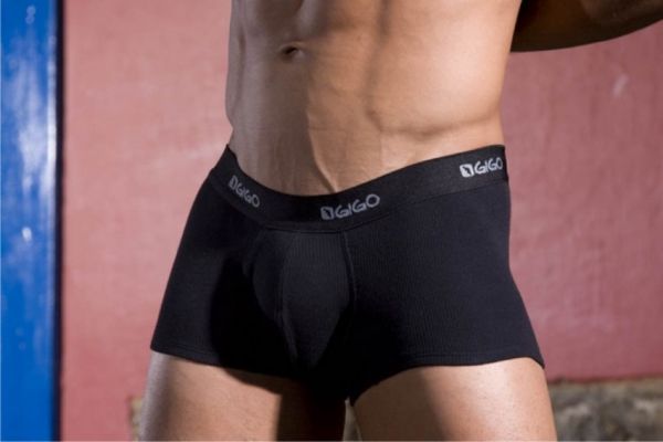 Gigo Cotton Boxer Black Gr.S**